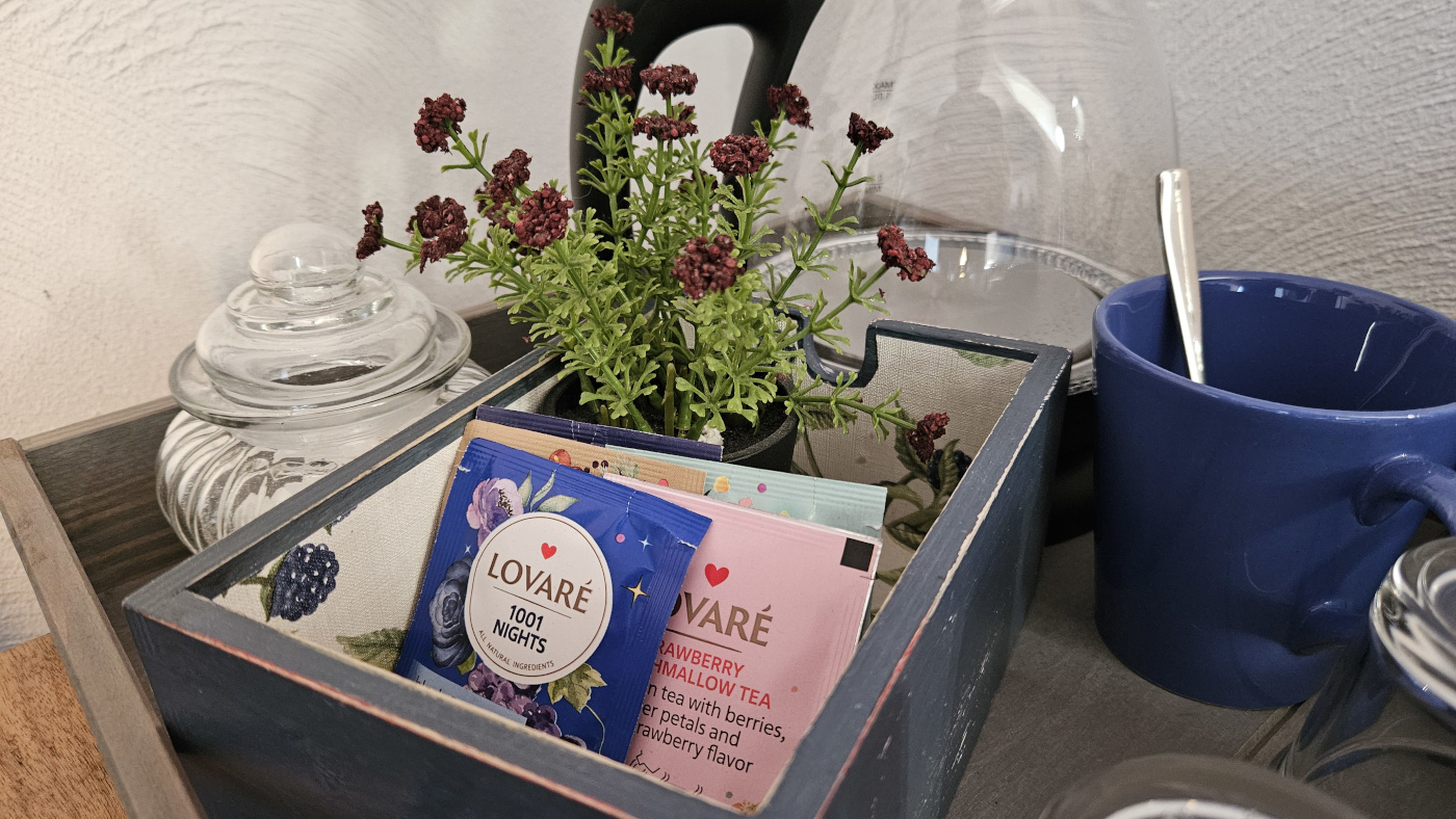 Wnętrze pokoju jeżynowego pensjonatu Miodówka